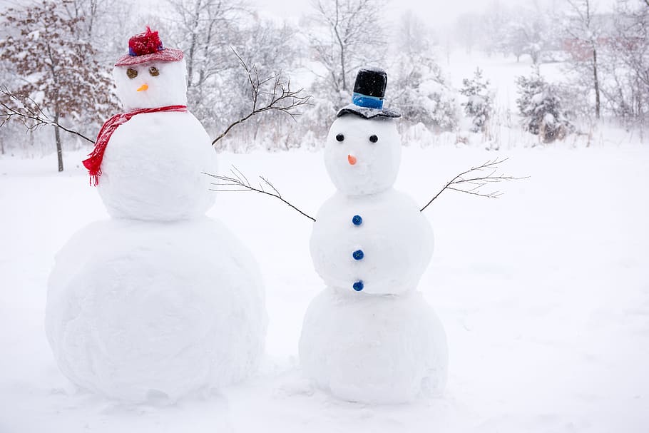 two snowman sculptures, snowmen, winter, snow, december, christmas, snowman, cold temperature, tree, white color