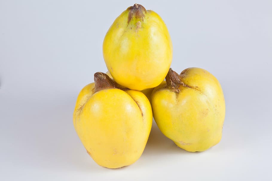マルメロ 黄色 果物 ザボン果実 マルメロフルーツ 果樹 収穫 10月 食べ物や飲み物 食べ物 Pxfuel