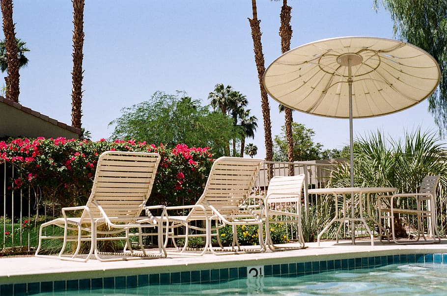 swimming pool, umbrella, patio chairs, palm trees, flowers, plants, sunshine, hot, backyard, pool