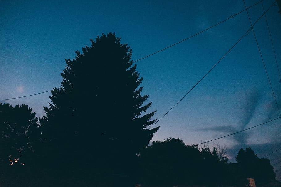 baixo, foto do ângulo, árvore, azul, céu, dia, árvores, escuro, pôr do sol, crepúsculo