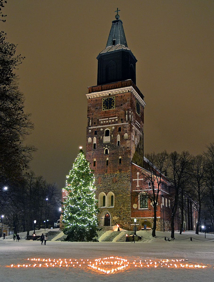 Christmas Tree, Turku Cathedral, Winter, christmas, turku, six, candle, poinsettia, star, church