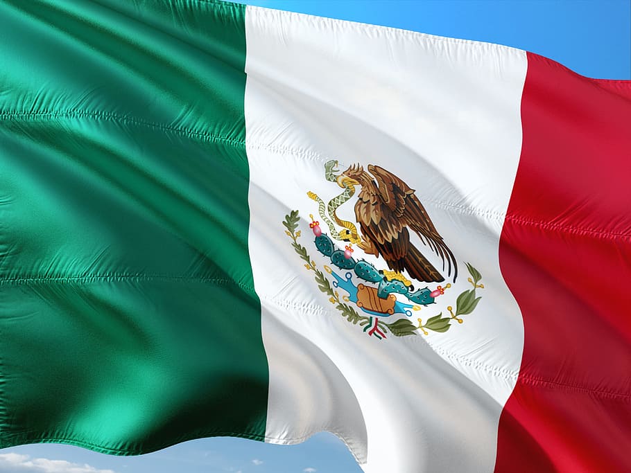 Foto de primer plano, bandera de México, internacional, bandera, México, color verde, naturaleza, gente, día, luz solar