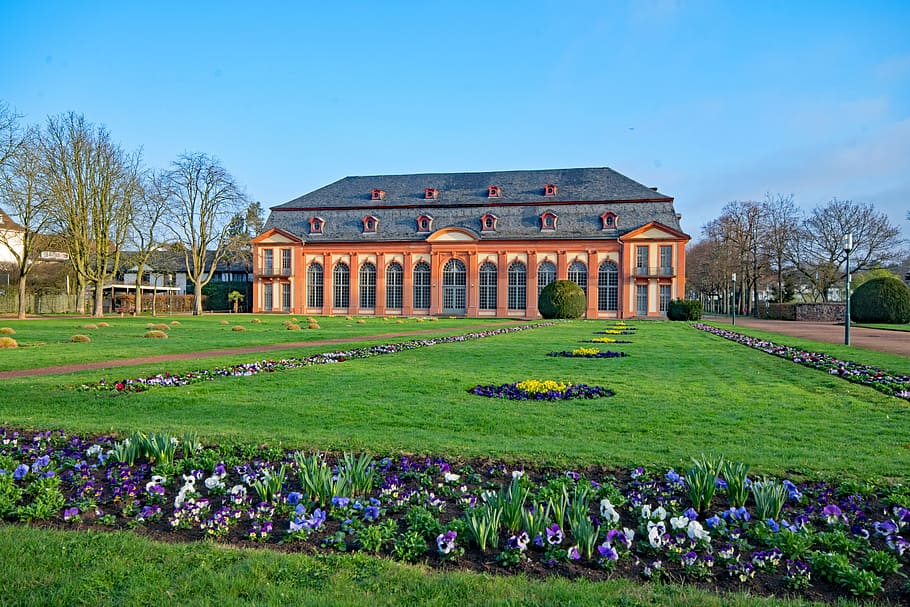 Orangerie, Darmstadt, Hesse, Alemania, primavera, flores, jardín, castillo, lugares de interés, arquitectura