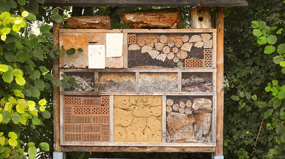 insect house, Insect, House, Nature Conservation, hibernate, insect hotel, biodiversity, wood, perforated, nesting help