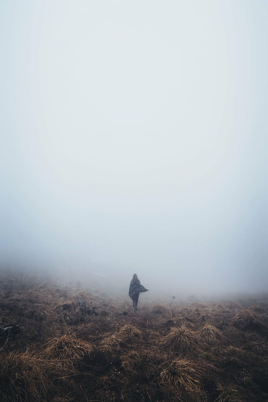 woman, standing, middle, field, fog, background, mountain, highland, grass, outdoor