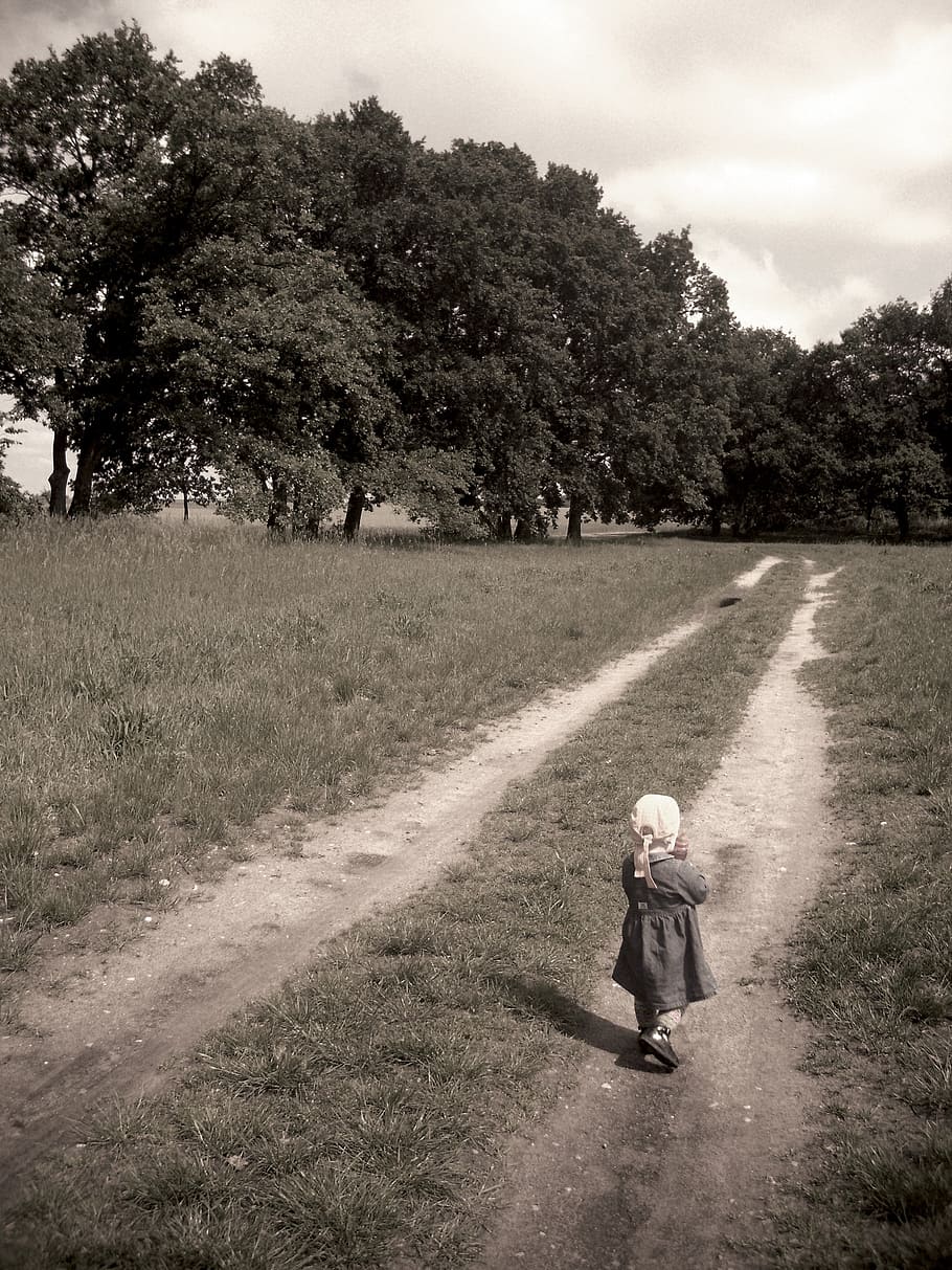 child, walking, toward, forest, human, girl, landscape, nature, tree, far