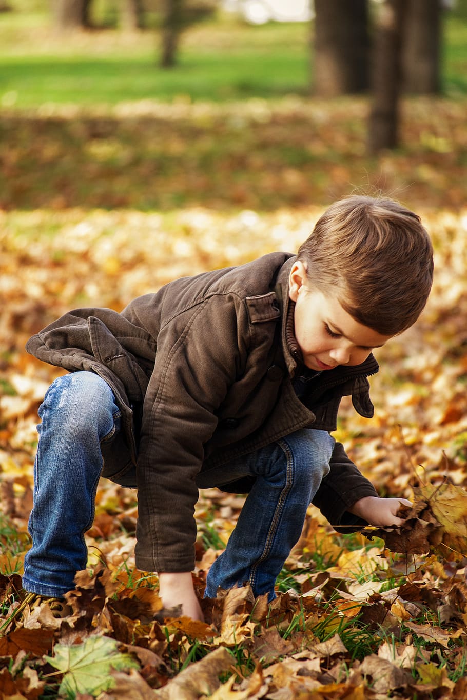 outono, ao ar livre, jogos, natureza, pequeno, criança, feliz, infância, estação, folha