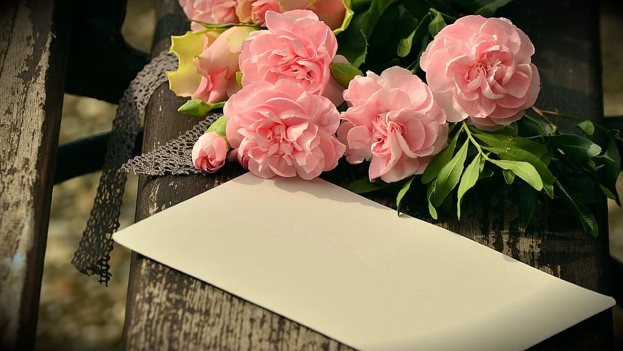 rosa, flores, al lado, blanco, papel, ramo, saludo floral, clavo, rosas, de memoria