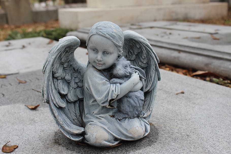 angel, holding, rabbit sculpture, gray, concrete, surface, cemetery, death, graveyard, grave