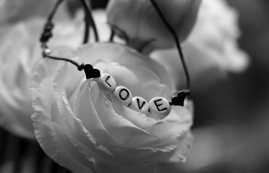 grayscale photo, white, rose, beaded, bracelet, love, bellflower, flower, feelings, romantic