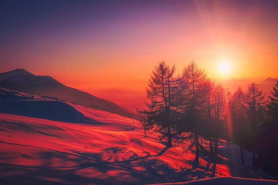 trees during sunset, italy, sunrise, sky, clouds, beautiful, mountains, snow, winter, forest
