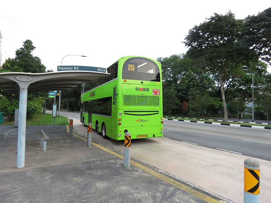 hijau, bus, menunggu, gudang, bus hijau, halte, singapore, bus pemerintah, perjalanan, bepergian
