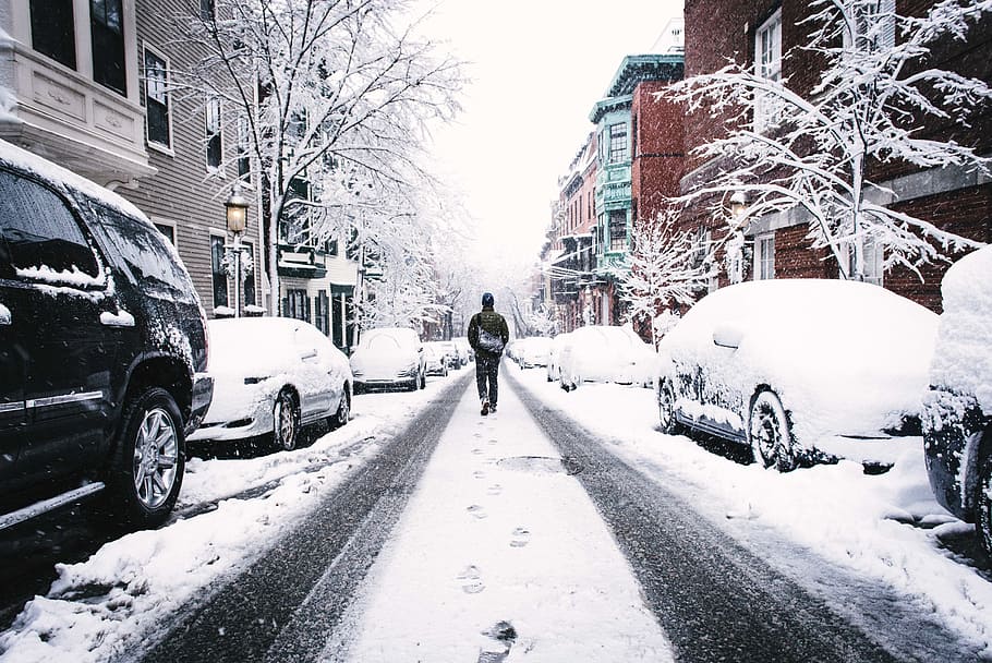 man, walking, middle, street, winter, snowy street, frozen, snow, january, mode of transportation