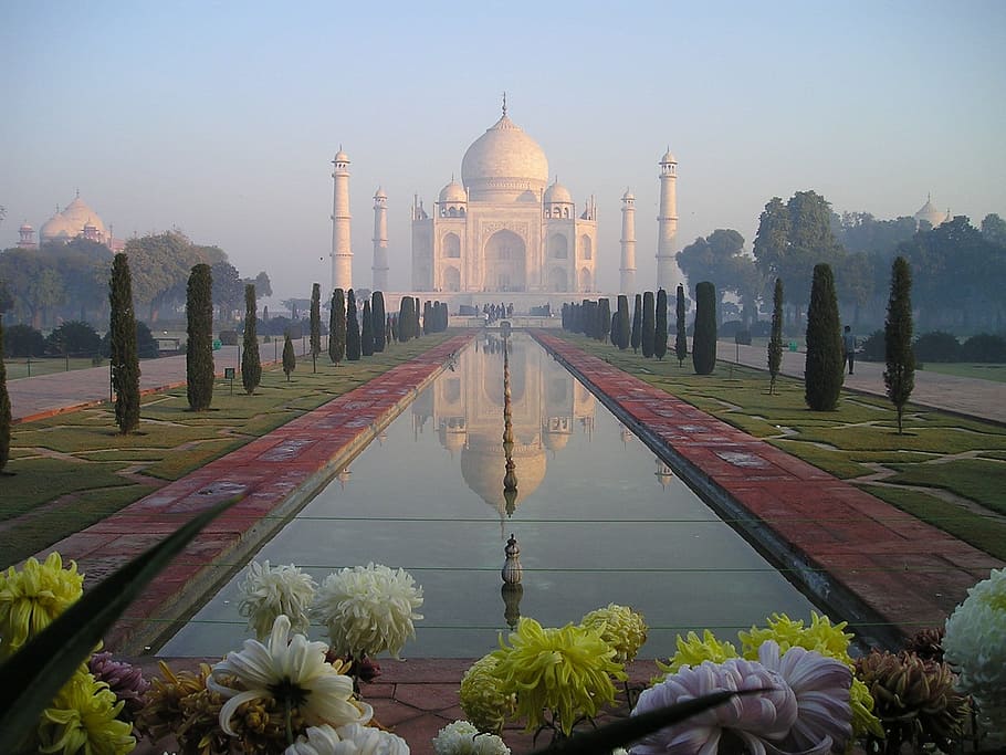 taj mahal, india, Taj Mahal, india, agra, temple, tomb, grave, sunrise, mirroring, reflection