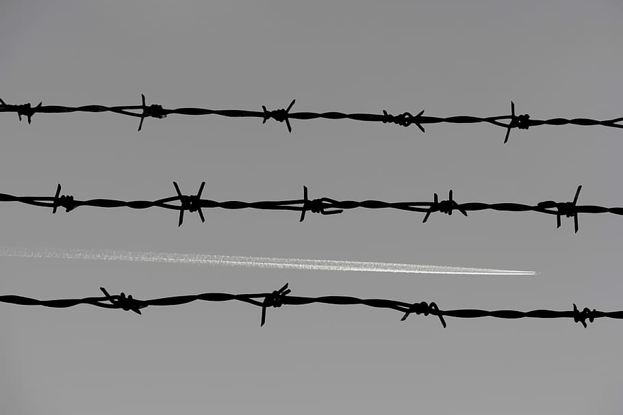 three barbwire, barbed wire, fence, prison, aircraft, black and white, thread, fly, jet aircraft, wire