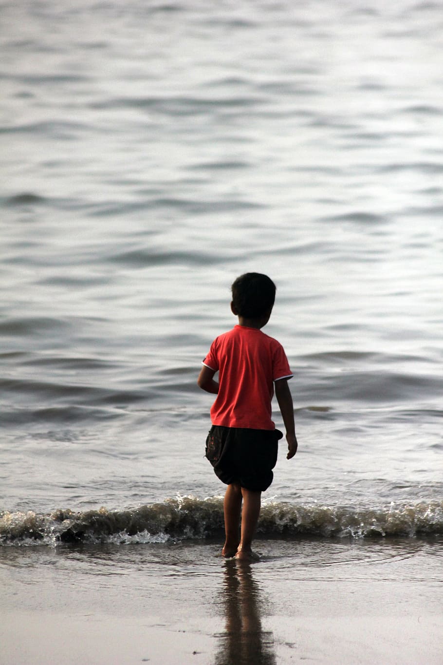 kid, beach, water, child, infant, india, indian, sea, rear View, outdoors
