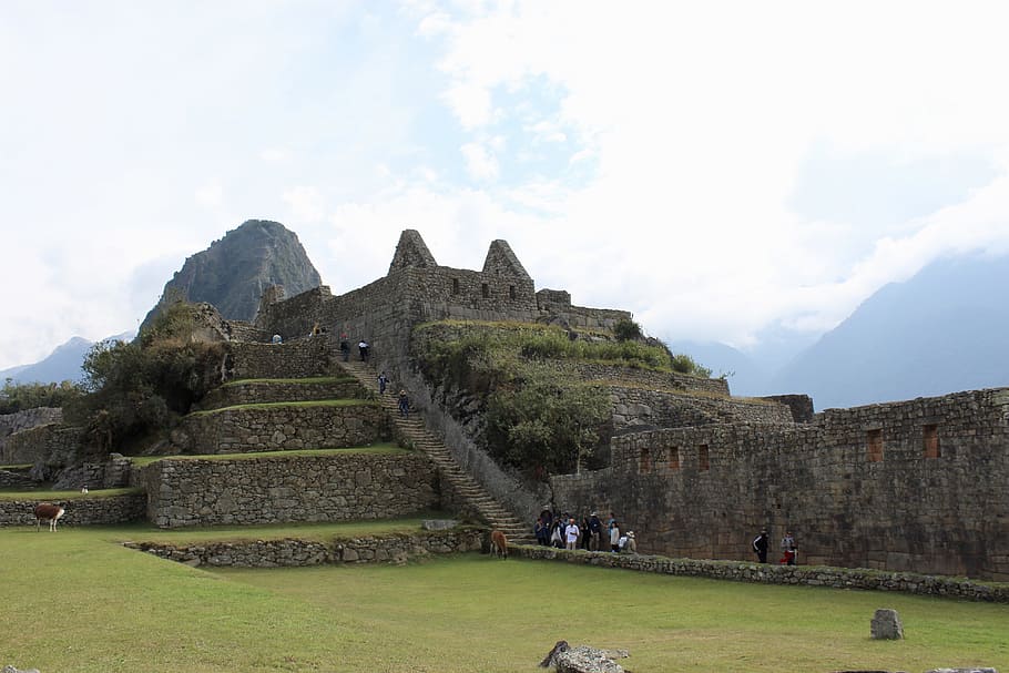 machupicchu, perú, valle, inca, cuzco, montaña, andes, patrimonio, hito, paisaje