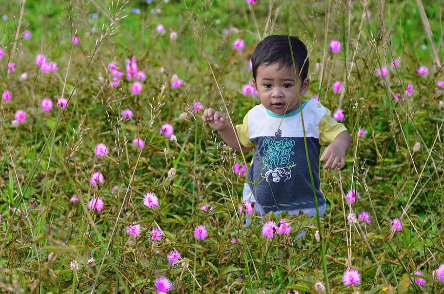 toddler boy, standing, mimosa pudica flowers, child, asian, cute, young, happy, kid, children