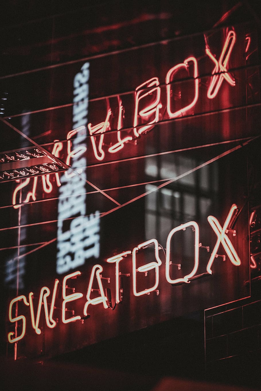 sweatbox neon light signage, wire, night, dark, lights, bar, restaurant, drinks, alcohol, beverage