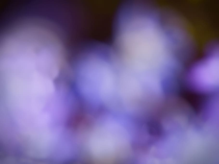 purple, abstract, background, soft, focus, light, art, defocus, blur, motion