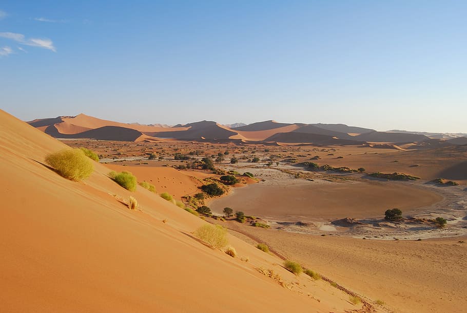 marrón, superficie del desierto, dunas, desierto, superficie, sossusvlei, namibia, salinas, arena de roter, seco