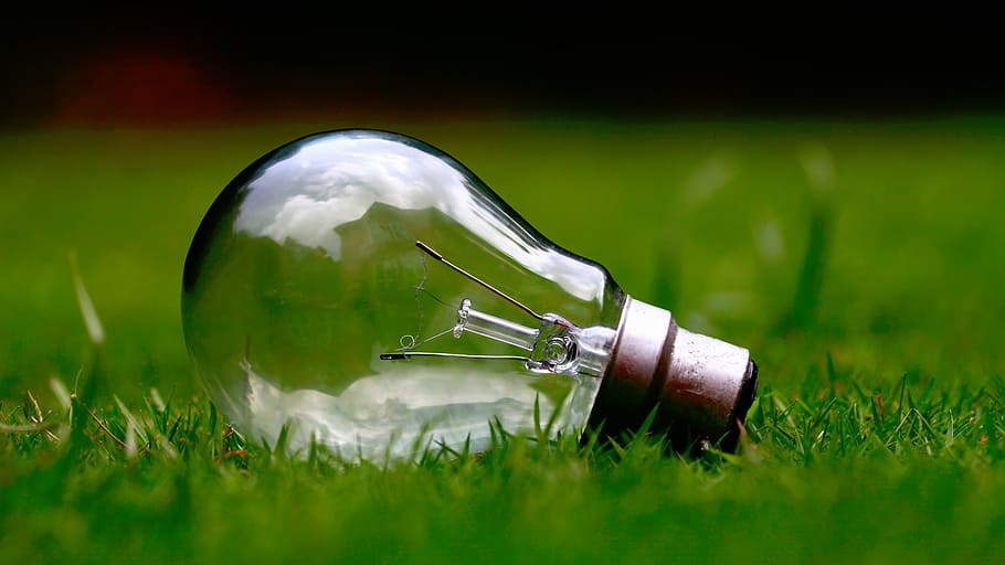 clear, glass bulb, green, grass field, nature, grass, light, bulb, filaments, glass - material