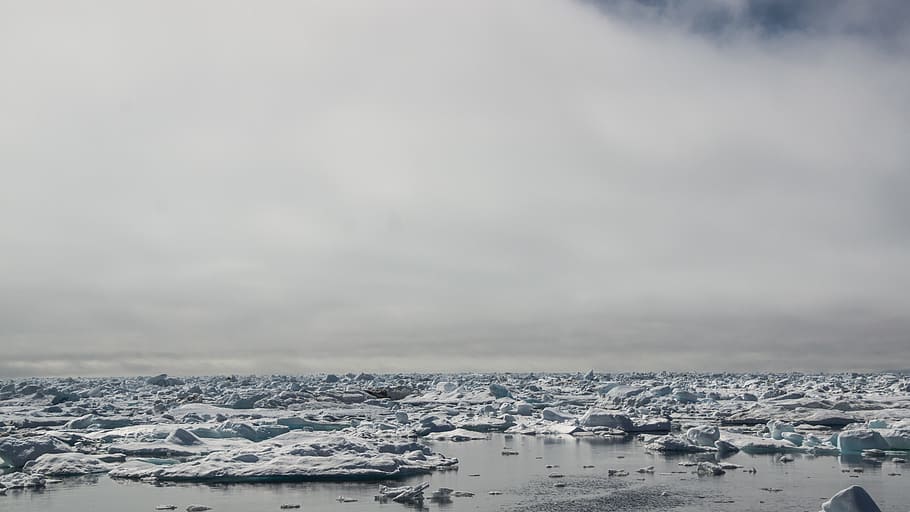 hielo a la deriva, iceberg, congelado, mar, blanco, interminable, desierto, hielo, paisaje, naturaleza