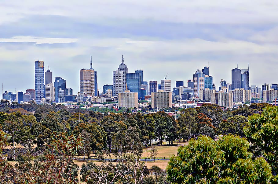 스카이 라인 사진, 도시, 낮, 멜버른, 스카이 라인, 공원, 도시 풍경, 자연, 하늘, 건물
