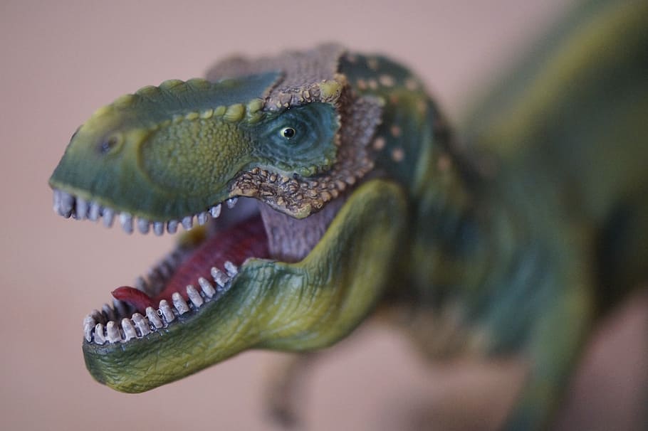 dinosaur toy, dino, dinosaur, tyrannosaurus rex, replica, toys, children, prehistoric times, t rex, dangerous