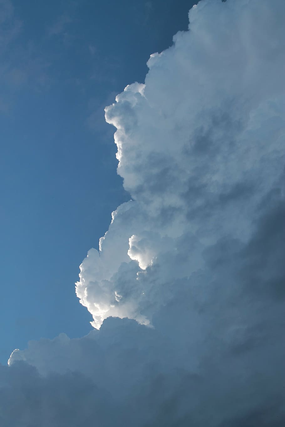 cumulonimbus, clouds, thundercloud, cumulus, sky, blue, clouds form, white, covered sky, nature