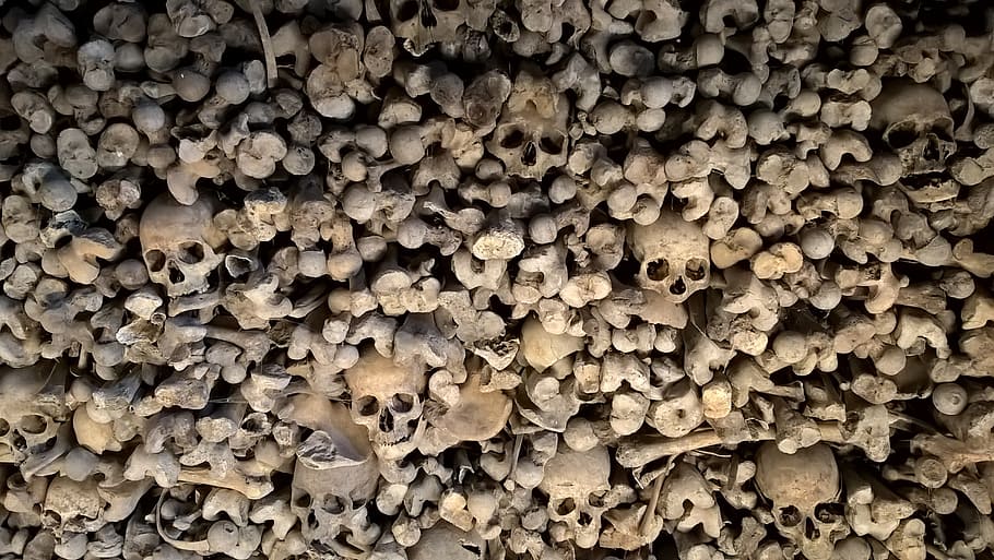 bones, skulls lot, skeleton, skull, death, charnel house, full frame, backgrounds, abundance, pattern