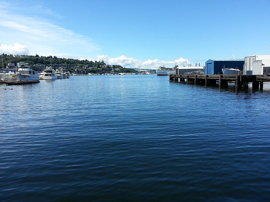 South Lake Union. Сиэтл озеро. Сиэтл с воды. Озерный порт.