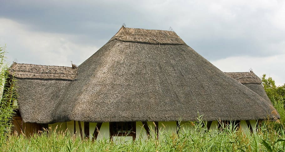 thatch roof, thatch, thatched, roof, close-up, details, thatched Roof, old, cultures, rural Scene