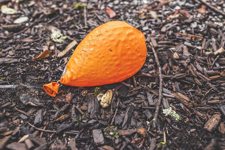 orange, latex balloon, ground, balloon, deflated, sticks, orange color, nature, outdoors, day
