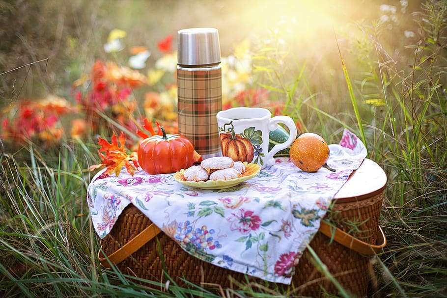outono, chá, piquenique, bebida, laranja, biscoitos, guloseima, comida, comida e bebida, grama