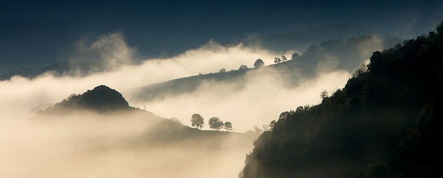 Entre brumas, trees, cove, fog, mountain, tree, sky, cloud - sky, nature, environment