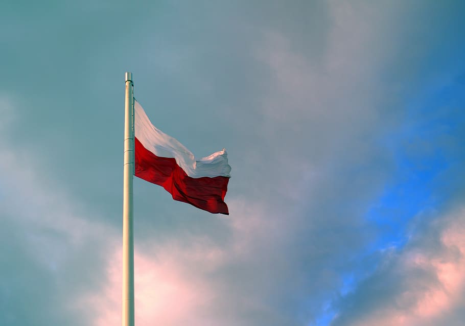 bendera, Polandia, patriotisme, tanah air, Bendera Polandia, negara, tiang, hari raya, langit, tampilan sudut rendah