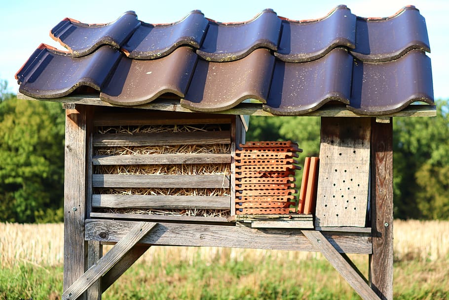 insect hotel, wood, shelter, perforated, insect house, bee hotel, insect protection measures, insect box, insect, drill holes