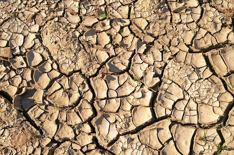 dry soil, drought, dehydrated, shriveled from, withered earth, ground, arable land, earth, cracked, dry