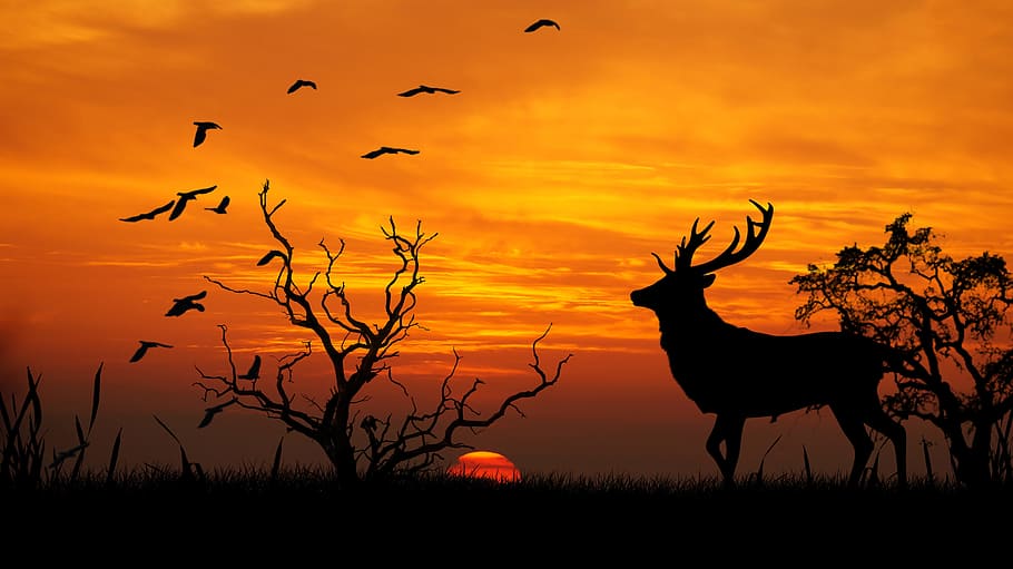 silhouette, deer, bare, tree, birds, mid, air, sunset, trestle, photoshop