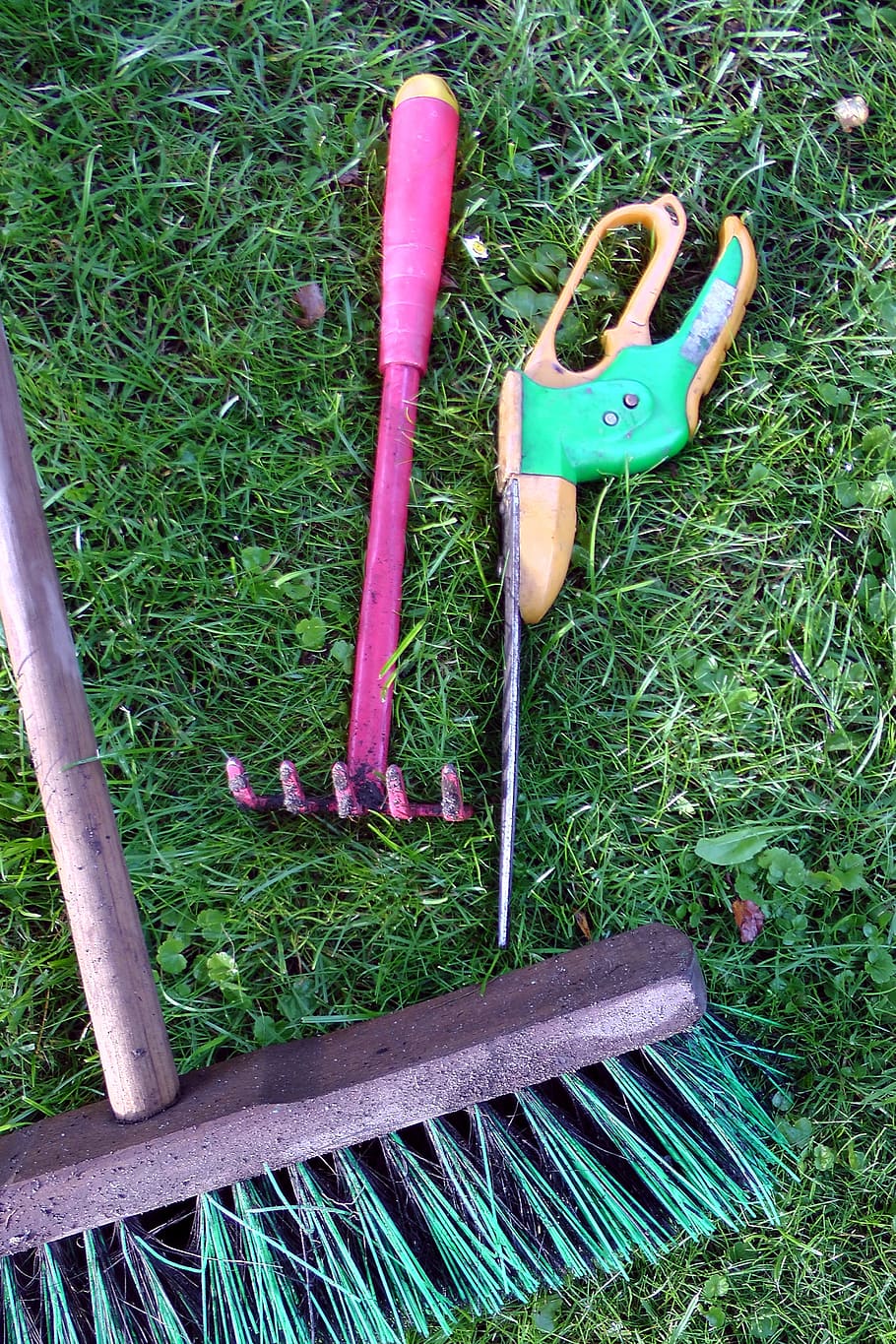 três, ferramentas de jardim de tipo variado, grama, rosa, tesoura, ferramentas de jardim, loteamento, tesoura rosa, vassoura, arremetida
