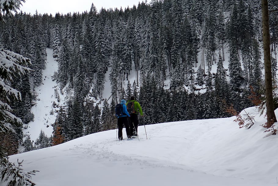 snowshoeing, snow shoes, snow, alpinism, bergsport, mountains, hiking, alpine, cold, winter