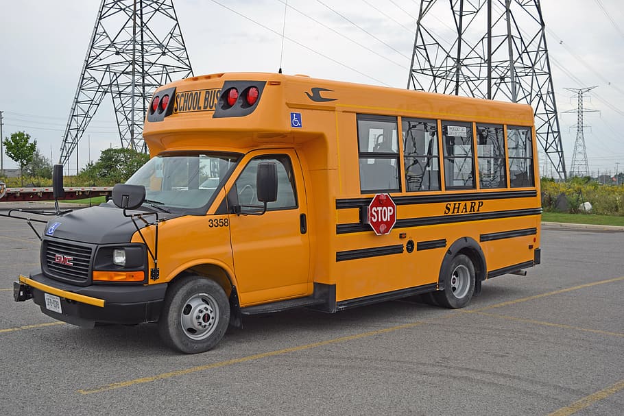 bus, orange, school, transportation, education, vehicle, transport, schoolbus, stop, school Bus