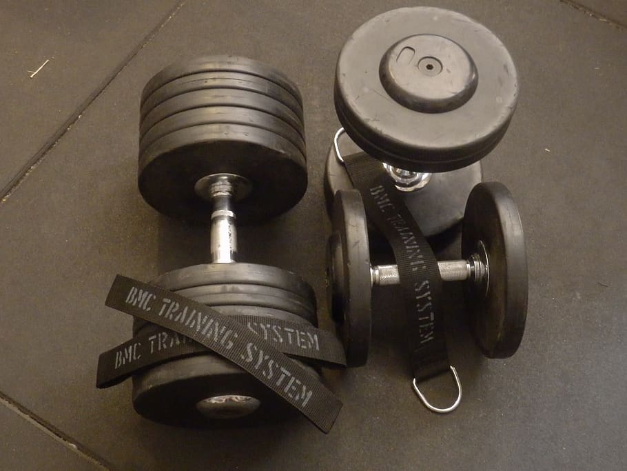 dumbbells, bodybuilding, muscles, workout, strength, lifting, strong, muscular, exercise, gym