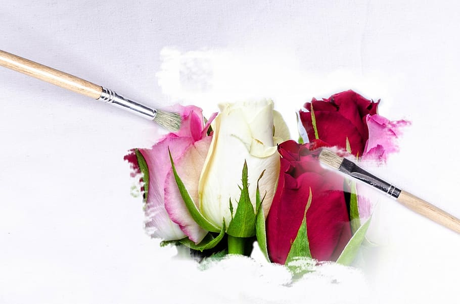 two, brown, paintbrushes, white, red, flower painting, paintbrush, outdoor, flower, flowers