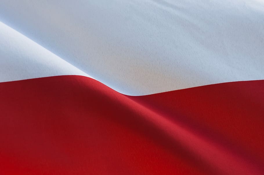 polonês, bandeira, polônia, patriotismo, símbolo, vermelho, pátria, nacional, independência, branco-vermelho