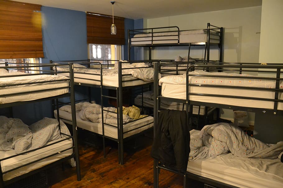 several, bunk beds, inside, white, room, beds, sleeping, bedroom, home, interior