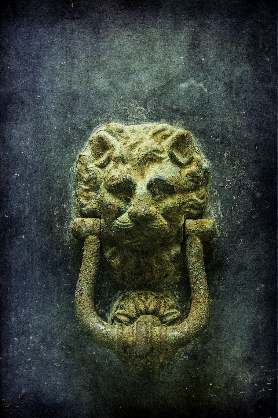 Venice, Door Knocker, Lion, Ancient, Old, entrance, metal, ornament, traditional, italy