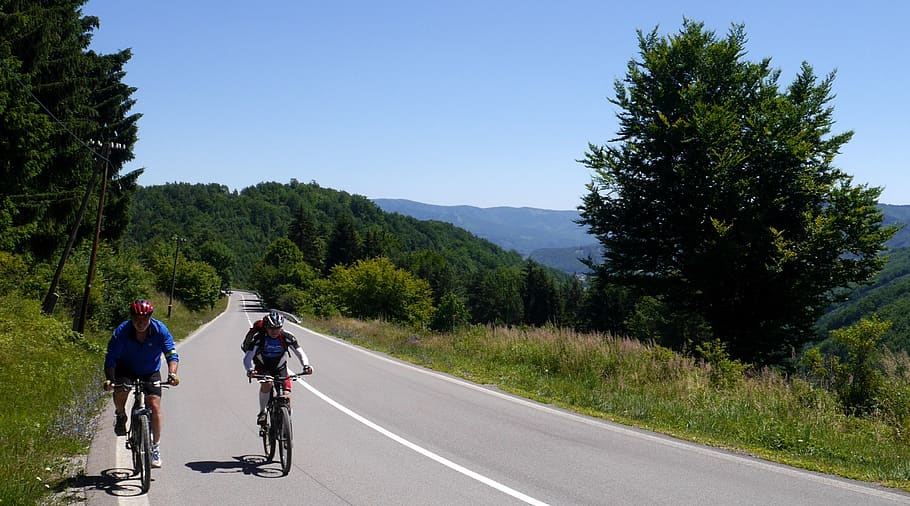 eslováquia, montanhas, caminho, cyklo, montanhas strážov, transporte, árvore, bicicleta, plantar, estrada