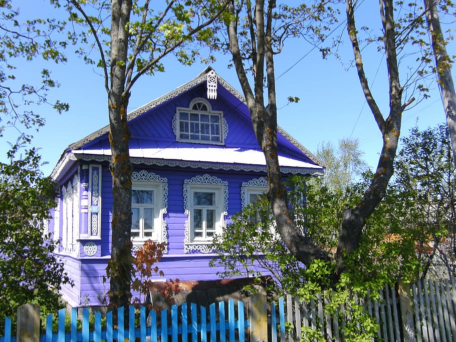purple concrete house, dacha, russia, cut wood, wooden houses, tree, architecture, plant, built structure, building exterior